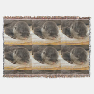 Couverture Loutres dorées