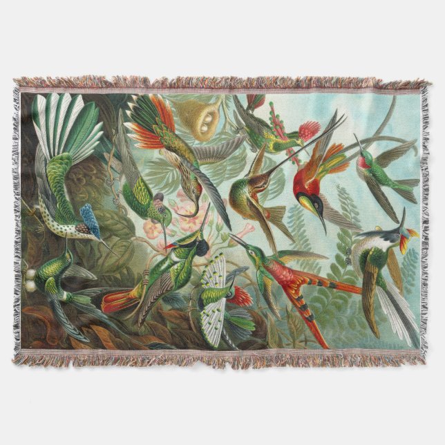 Couverture Magnifique Ernst Haeckel Hummingbirds (Devant)