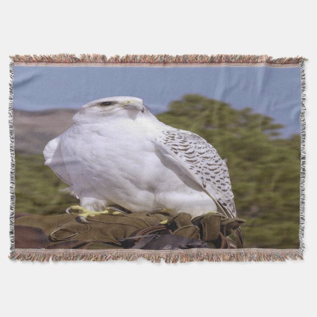 Couverture Majestic Gyrfalcon (Devant)