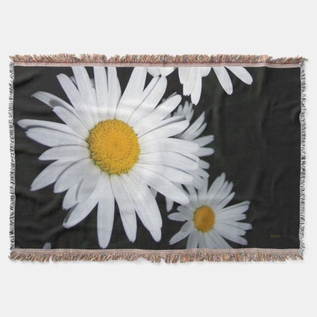 Couverture Marguerites (Devant)