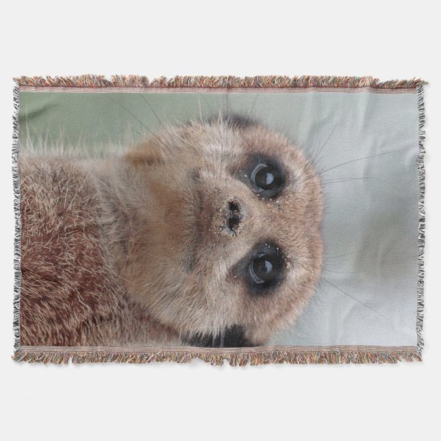 Couverture Meerkat 020 (Devant)