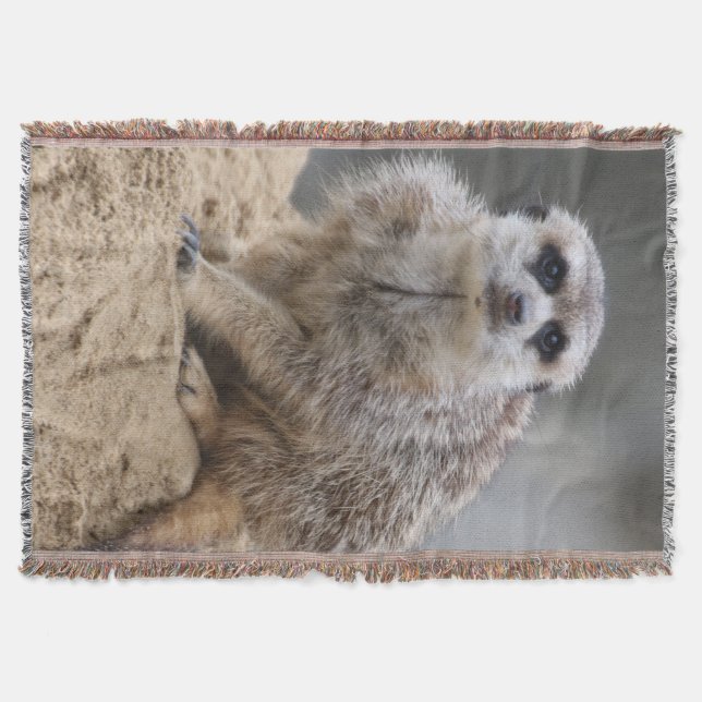 Couverture Meerkat 021 (Devant)