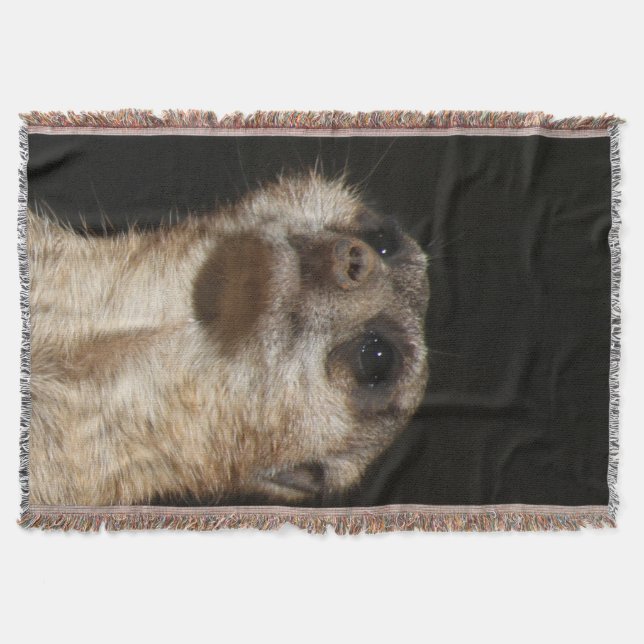 Couverture Meerkat 032 (Devant)