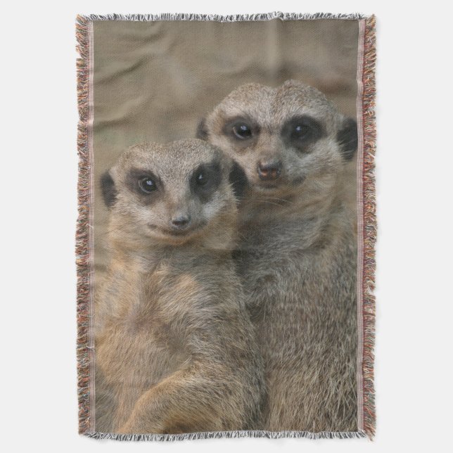 Couverture Meerkat 067 (devant Vertical)