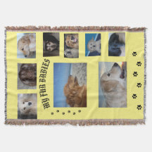 Mes bébés à fourrure