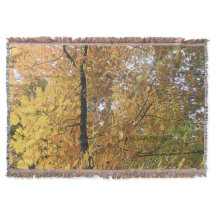 Mi-octobre arbres 2 Jeter