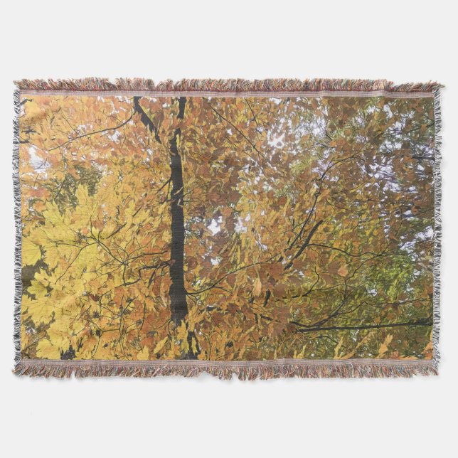 Couverture Mi-octobre arbres 2 Jeter (Devant)