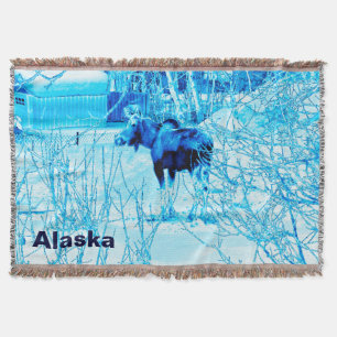 Couverture Moose urbaine