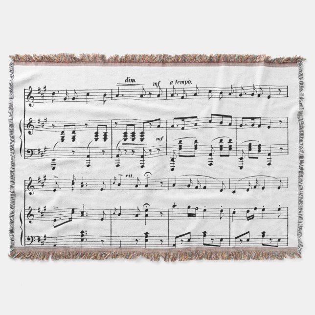 Couverture Musique en feuille blanche (Devant)