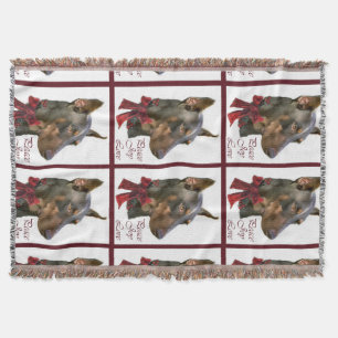 Couverture Noël Doberman Pinscher