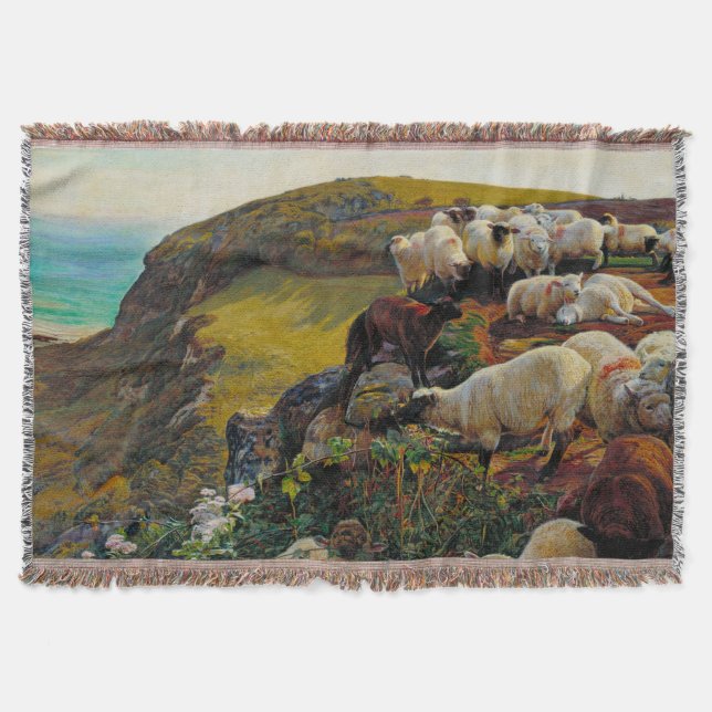 Couverture Nos côtes anglaises ou Brebis égarées William Holm (Devant)