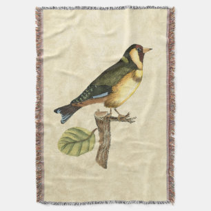 Couverture Oiseau jaune et vert été perché sur une petite
