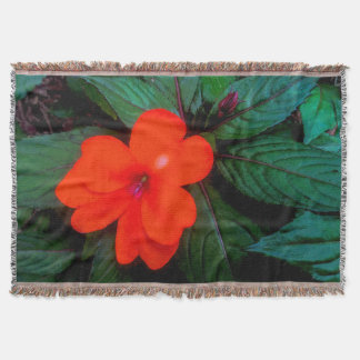 Couverture Orange Impatiens
