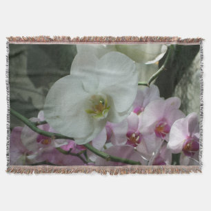 Couverture Orchidées blanches et violettes
