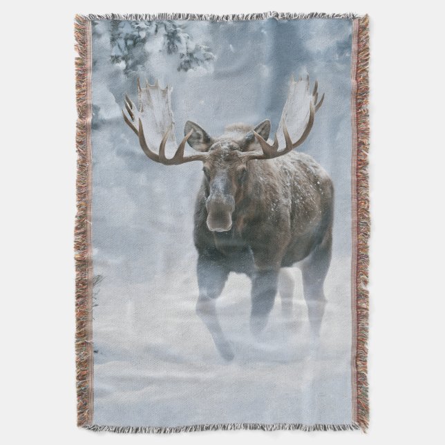 Couverture Orignal mâle marchant dans la neige boréale (devant Vertical)