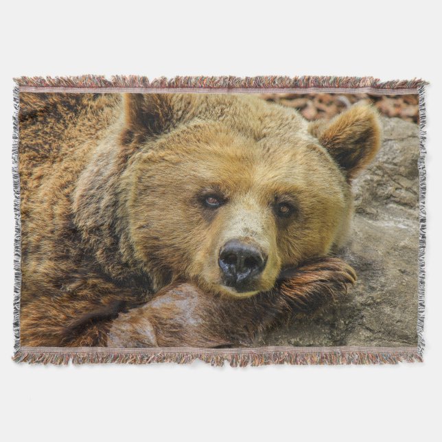 Couverture Ours Brown sauvage (Devant)