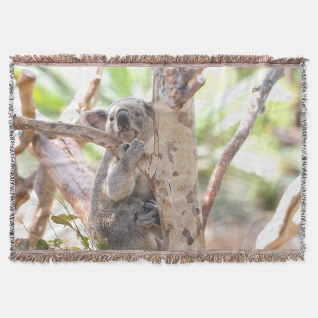 Couverture Ours De Koala Dans Un Arbre (Devant)