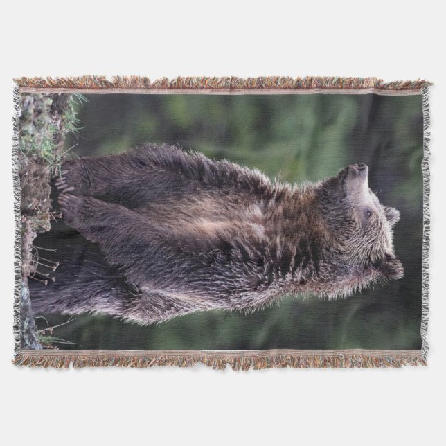 Couverture Ours gris debout (Devant)