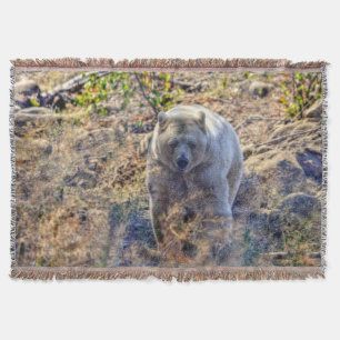 Couverture Ours Kermode Rare (Ours Esprit) Photo Faune