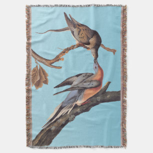 Couverture Paire Audubon de baiser des pigeons voyageurs