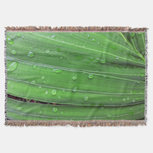 Couverture Palmier de Noël et gouttes de pluie (Devant)