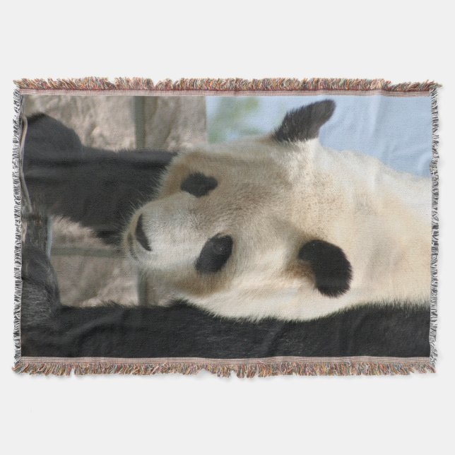 Couverture Panda20170506_by_JAMFoto (Devant)