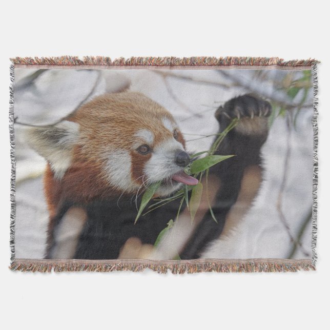 Couverture Panda rouge affamé (Devant)