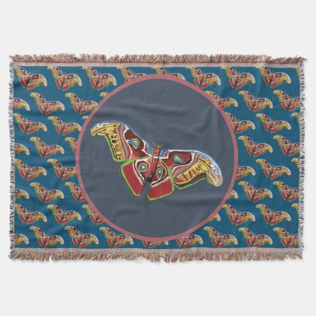 Couverture Papillon coloré (Devant)