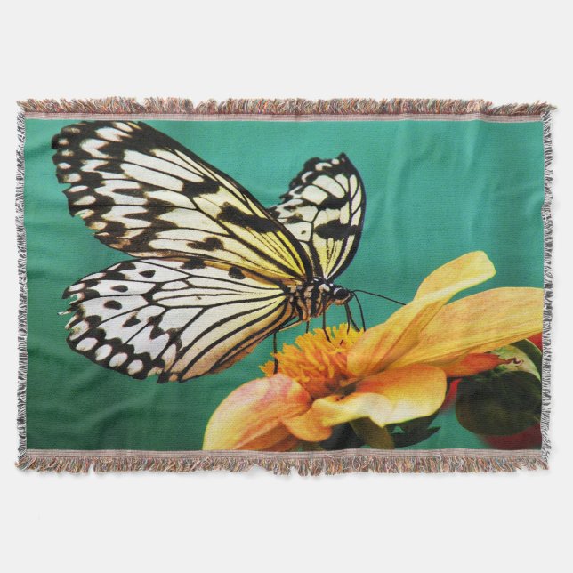 Couverture Papillon Monarque Et Fleur Orange (Devant)