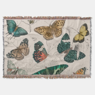 Couverture Papillons Collection Antique Papillons