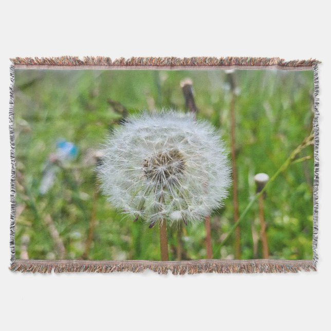 Couverture Parfaite Pissenlit – Photographie Macro Botanique (Devant)