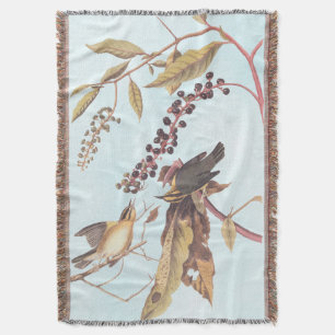 Couverture Paruline audubon, oiseau-chanteur de Worm-Eating