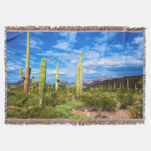 Couverture Paysage de cactus du désert, Arizona (Devant)