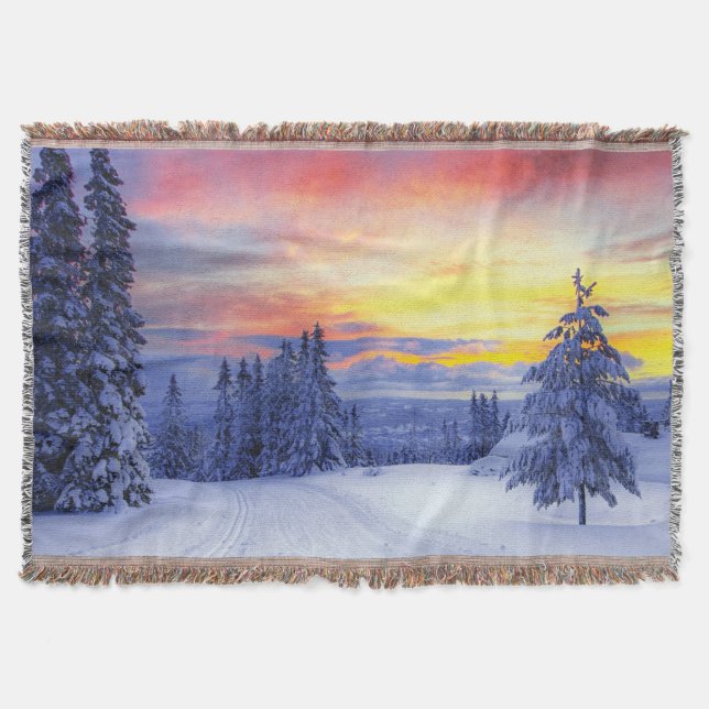 Couverture Paysage hivernal (Devant)