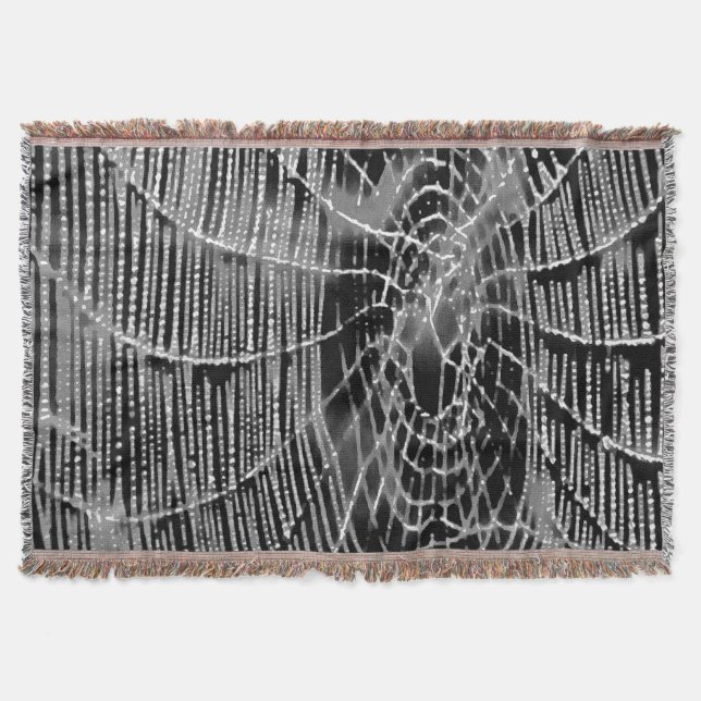Couverture Peinture Abstraite D'Une Cobweb Blanc Gris Sur Noi (Devant)