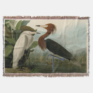 Couverture Peinture de la faune d'Audubon Heron violet