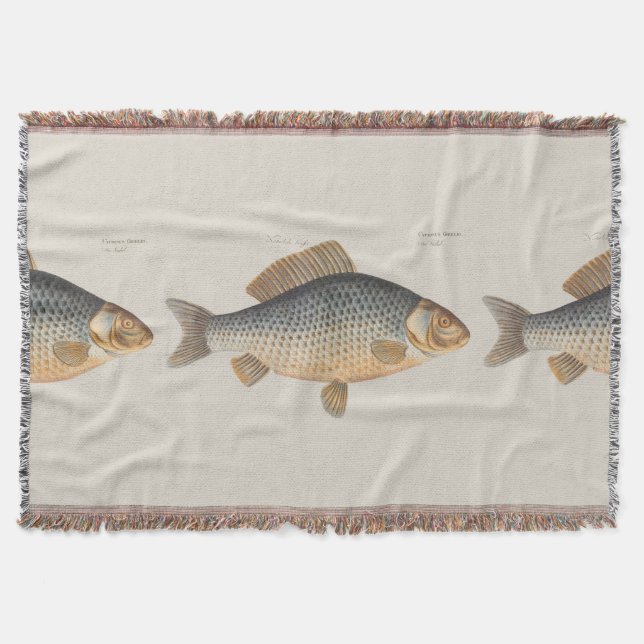 Couverture peinture de pêche de carpe dessin d'eau douce  (Devant)