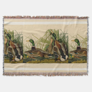 Couverture Peinture d'oiseaux de Mallard Duck Audubon
