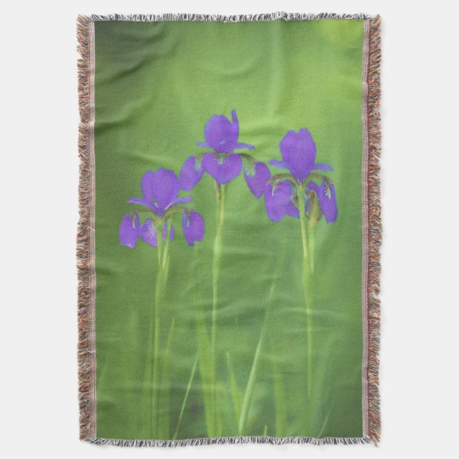 Couverture Peinture Iris Violet - Art Fleur Originale (devant Vertical)