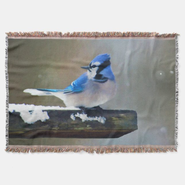 Couverture Peinture Jay Bleu - Art Oiseau Original (Devant)