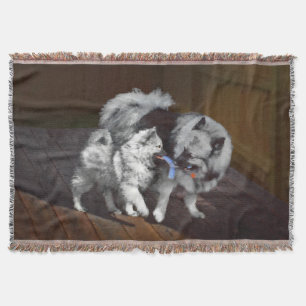 Couverture Peinture Keeshond Playtime - Jolie art original ch