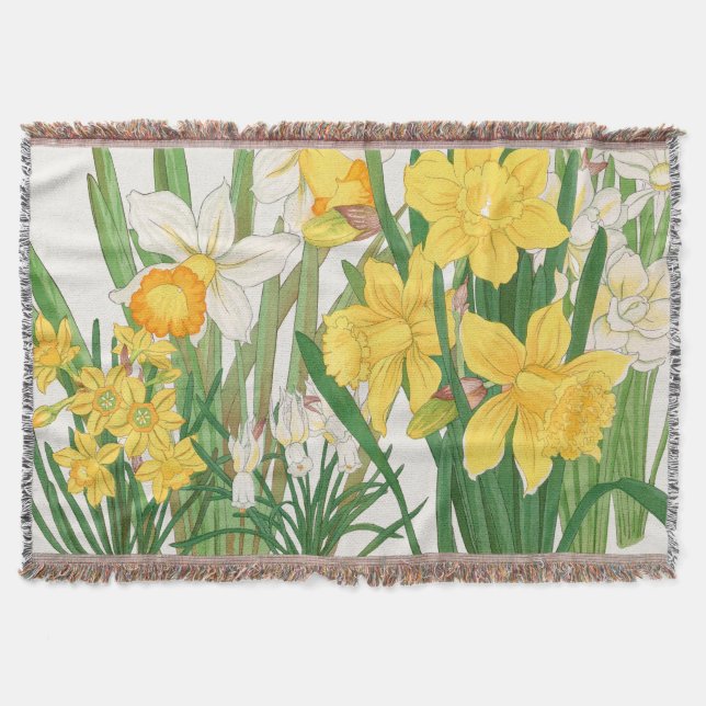 Couverture Peinture sur bois de narcisse, Tanigami Kônan, 191 (Devant)