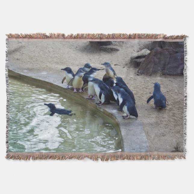 Couverture Penguin Relay : équipe de natation de la colonie d (Devant)