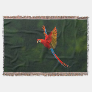 Couverture Perroquet en vol