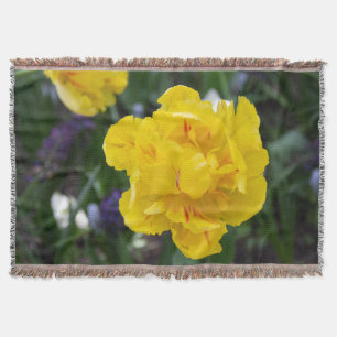 Couverture Petites tulipes jaunes dans le jardin