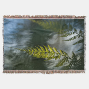 Couverture Photo de Fern Nature