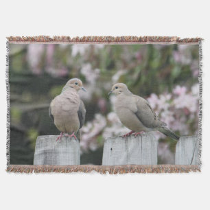 Couverture Photo Doves en deuil