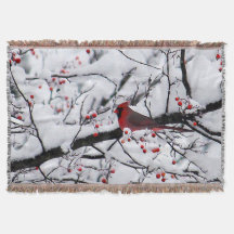 Photo Red Cardinal Snow Tree