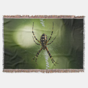 Couverture Photographie d'araignée de jardin d'or Jetez une c