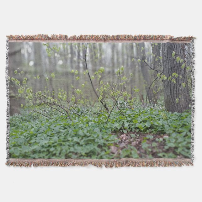 Couverture Photographie de la nature du sol de la forêt des C (Devant)